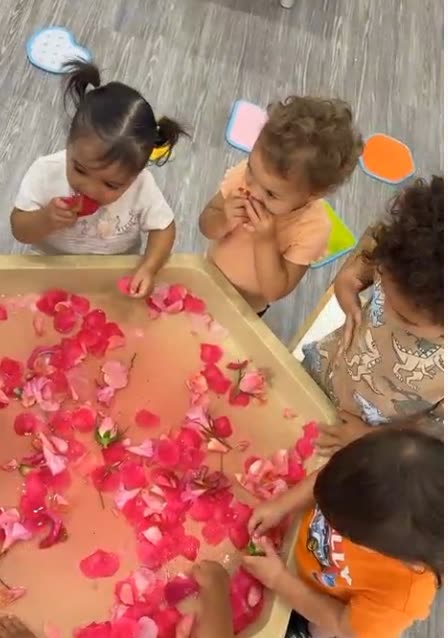 Looking down on a water tray of lemon slices and yellow flowers as four small children explore it.